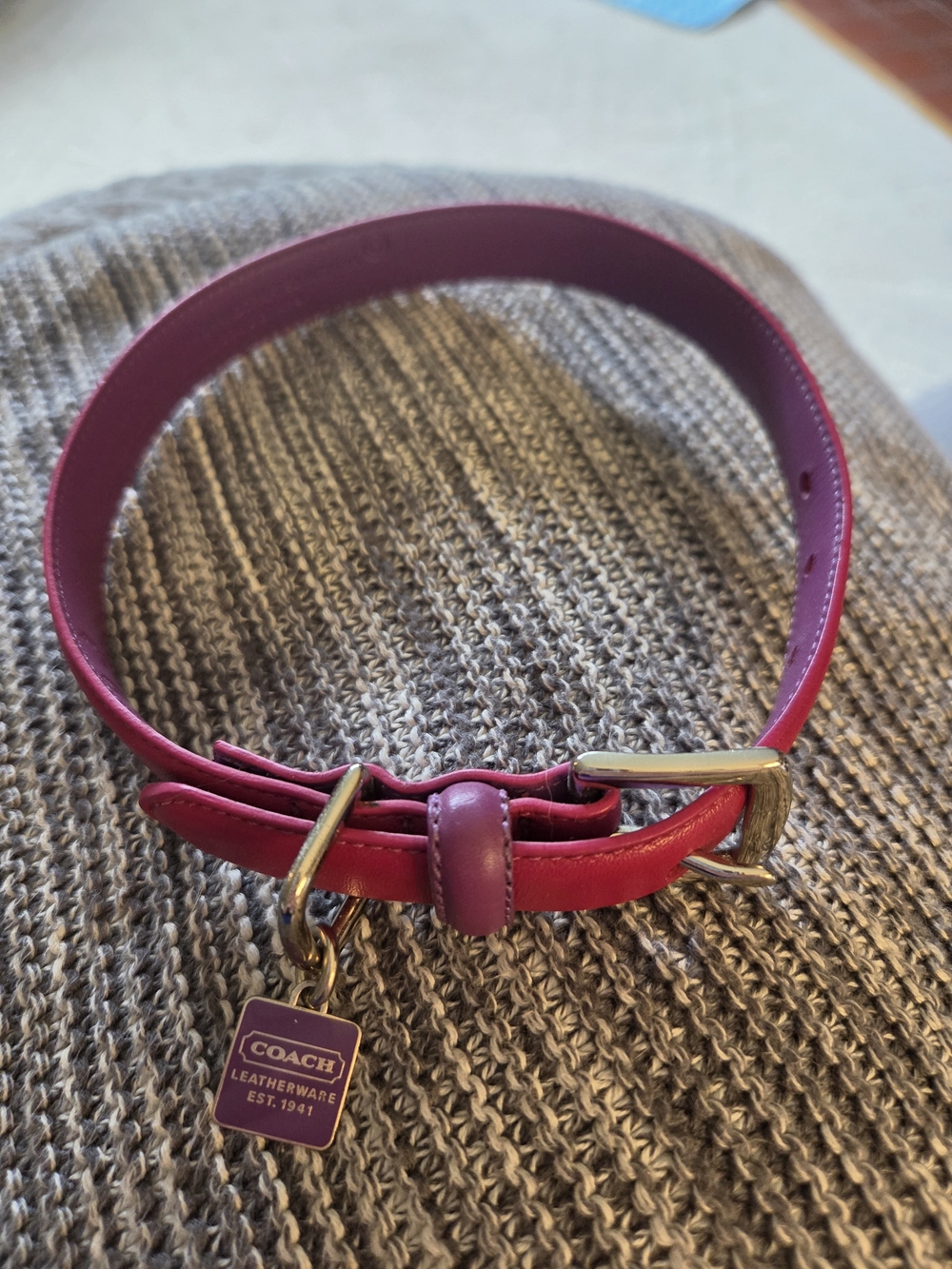 Coach Pink & Magenta Leather DOG COLLAR